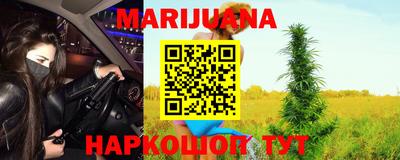 молекула духа Шелехов