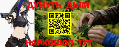 молекула духа Шелехов