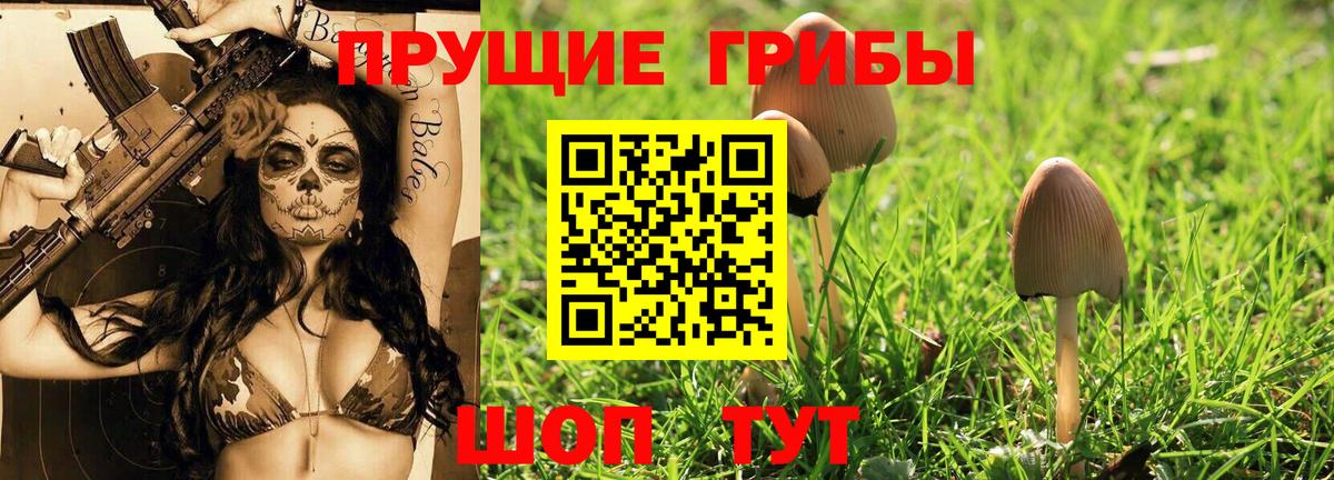 Псилоцибиновые грибы мицелий Дзержинский