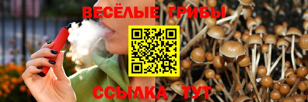 купить  сайты  Галлюциногенные грибы прущие грибы  Вход с VPN  Дзержинский  Галлюциногенные грибы Psilocybe 